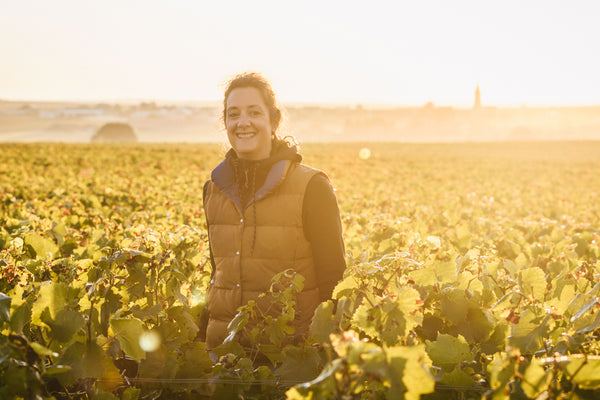 Champagne Jean Plener & fils