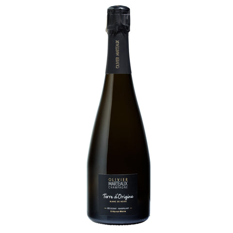 terre_origine_champagne_o_marteaux_2007