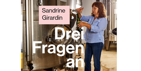 BLOGdrei fragen-S.Girardin