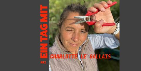 OKvignette-blog-EinTagm-LeGallais