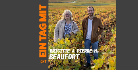 vignette-blog-EinTagm-Beaufort
