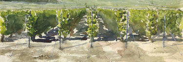 Champagner Weinbaugebiet