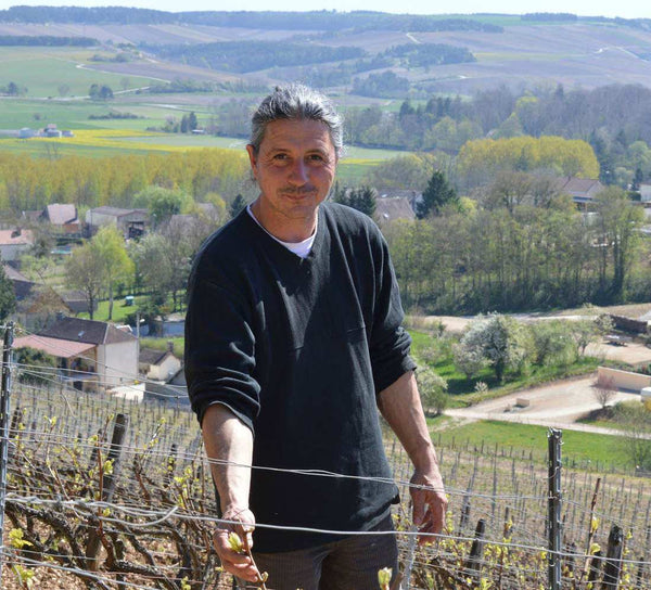Champagne Piollot