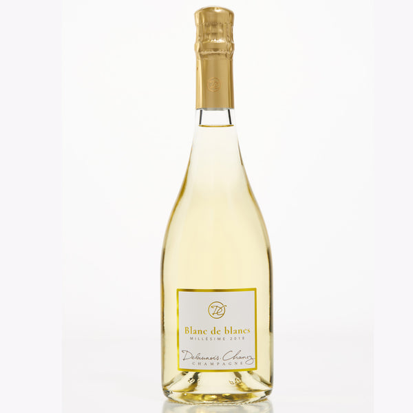 bdeB_2018_delaunois-chanez