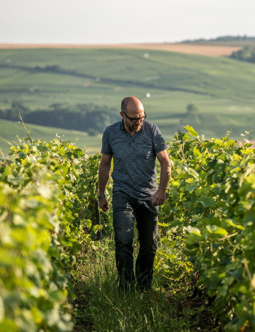 Champagne Dehours & Fils
