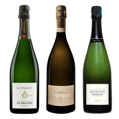 trio winzerinnen_mars26
