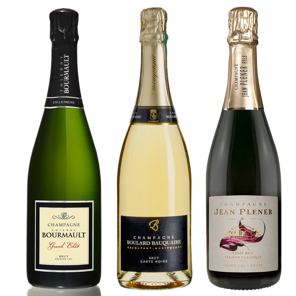 trio_brut_dez24